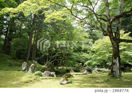 北畠氏館跡庭園 2868776