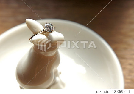 婚約指輪 婚約指輪 2869211