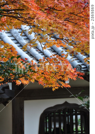 秋の天龍寺 秋の天龍寺 2869869