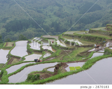 内成の棚田 2870183