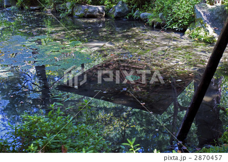 平安神宮　神苑 2870457