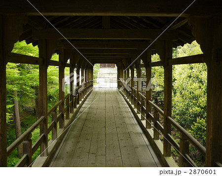 京都 東福寺 龍吟庵に続く新緑の偃月橋 2870601