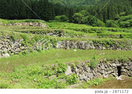 棚田百選「福島棚田の里」 2871172