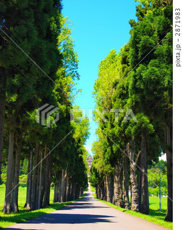 トラピスト修道院 2871983