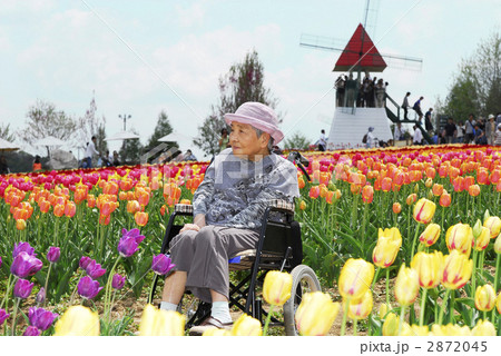 素敵なお婆ちゃん 2872045