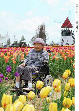 素敵なお婆ちゃん 2872046