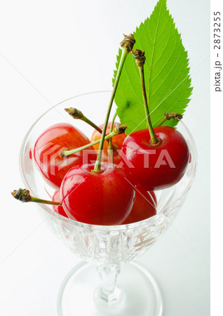 冷たいチェリー 2873255