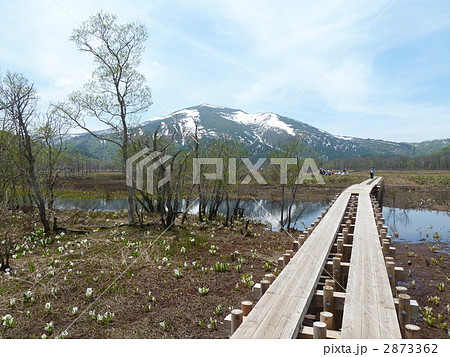 尾瀬国立公園 尾瀬ヶ原&至仏山 尾瀬国立公園 尾瀬ヶ原&至仏山 2873362