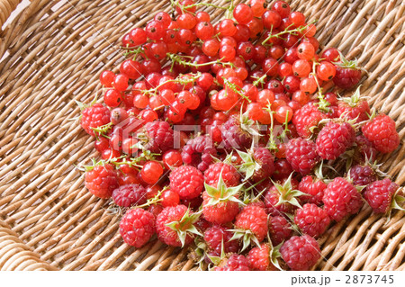 庭で獲れた新鮮ベリー 2873745