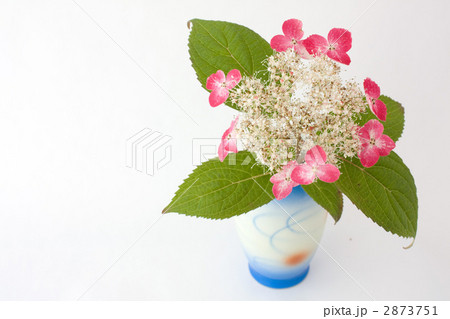 アンティークの花瓶と紫陽花 2873751