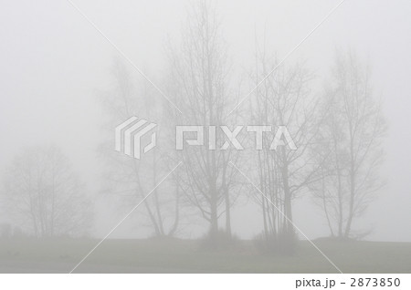 濃霧の公園　 2873850