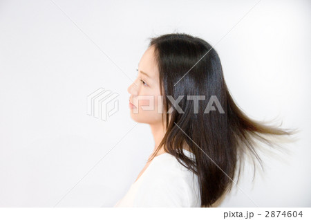 2874604