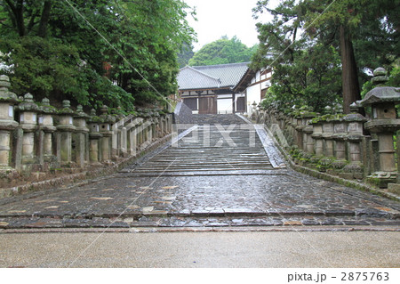 東大寺境内 2875763