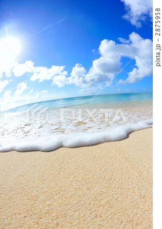 夏イメージ(与論島) 夏イメージ(与論島) 2875958