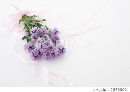 ラベンダーの花束の写真素材