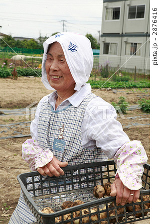じゃがいもとシニア女性 2876416