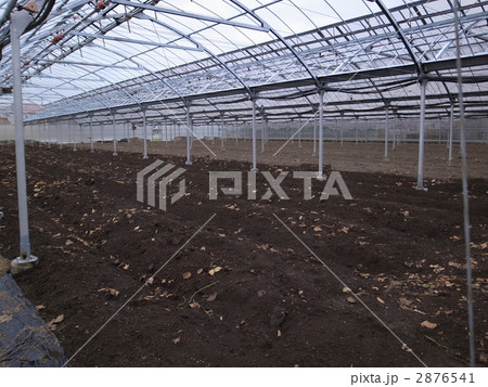 ビニルハウス内部 2876541