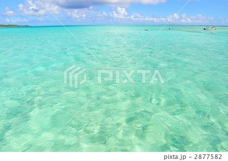 夏イメージ(与論島) 夏イメージ(与論島) 2877582