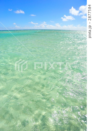 夏イメージ（与論島） 2877584