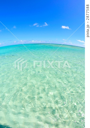 夏イメージ（与論島） 2877588