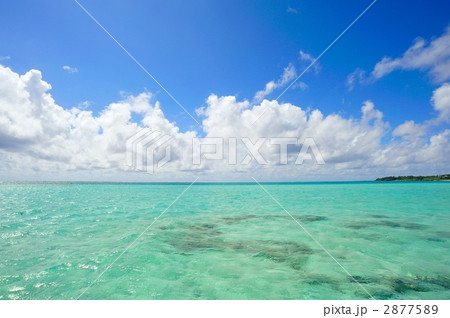 夏イメージ(与論島) 夏イメージ(与論島) 2877589