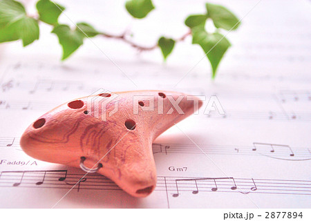 オカリナ 2877894