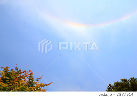 太陽の暈 2877914