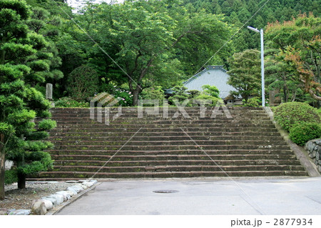 鎌倉で徳川家康の縁のある大長寺を訪れて 鎌倉で徳川家康の縁のある大長寺を訪れて 2877934
