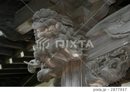 鎌倉で徳川家康の縁のある大長寺を訪れて 2877937