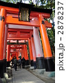大鳥居鳥居 2878237