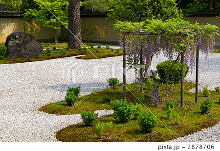 廬山寺　源氏庭（京都市） 2878706