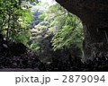 2879094
