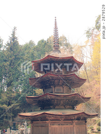 安楽寺八角三重塔 2879529