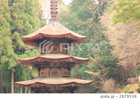 安楽寺八角三重塔 安楽寺八角三重塔 2879539