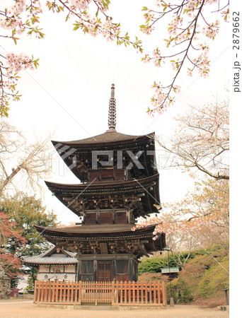 前山寺三重塔 2879662