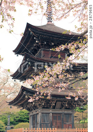 前山寺三重塔 2879665