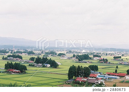 屋敷林の眺望(平野部の農村:岩手県胆沢1) 屋敷林の眺望(平野部の農村:岩手県胆沢1) 2880673