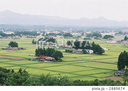 屋敷林の眺望（平野部の農村：岩手県胆沢２） 2880674