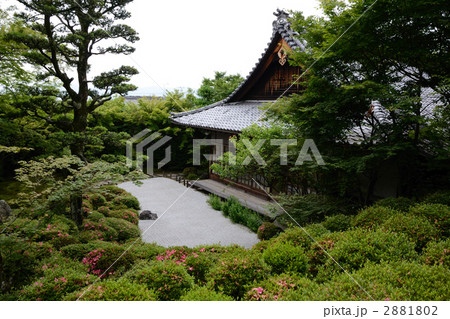 京都、サツキ咲く金福寺 京都、サツキ咲く金福寺 2881802