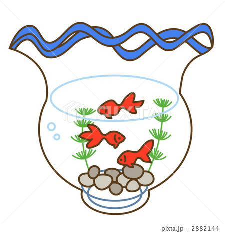 金魚蜂 2882144