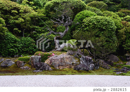 金地院、鶴亀の庭、亀島 2882615