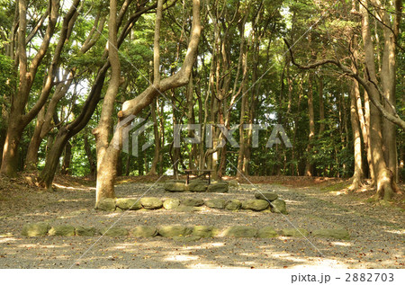 宗像大社　高宮祭場 2882703