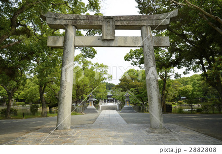 宗像大社　鳥居・参道 2882808