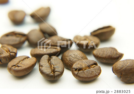 コーヒー豆　ハート 2883025