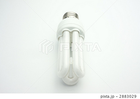 電球型蛍光灯 2883029
