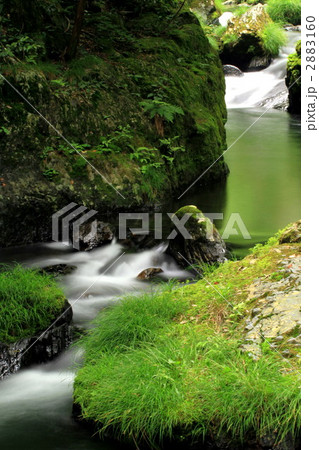 ６月の渓流 2883160