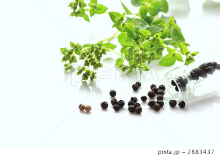 オレガノと黒胡椒 2883437