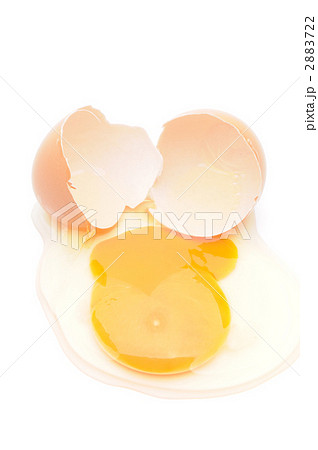 タマゴ タマゴ 2883722