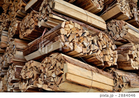 森の中の薪 2884046