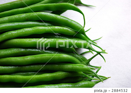 インゲン豆 インゲン豆 2884532